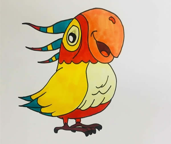 五颜六色的鹦鹉简笔画教程