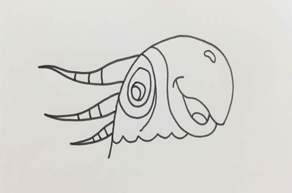 五颜六色的鹦鹉简笔画教程