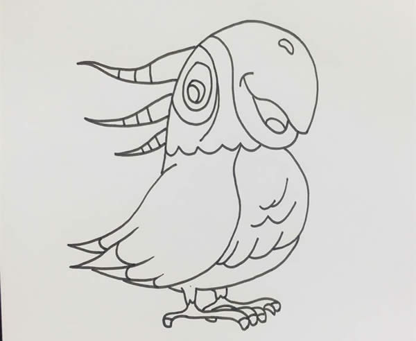 五颜六色的鹦鹉简笔画教程