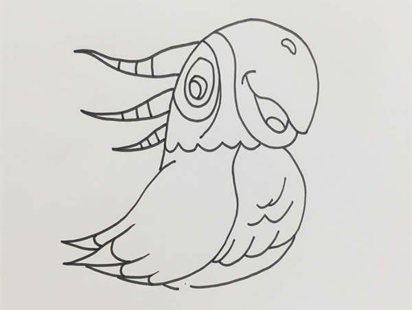 五颜六色的鹦鹉简笔画教程