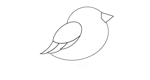 漂亮的彩色小鸟简笔画
