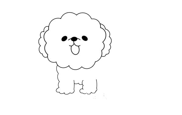 黄色泰迪犬简笔画画法步骤