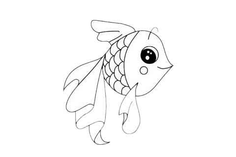 可爱漂亮的金鱼简笔画