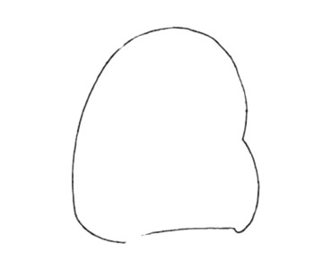 卡通仓鼠简笔画步骤