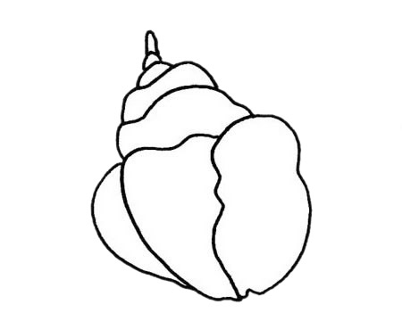 海螺儿童简笔画