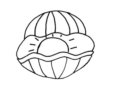 关于贝壳的简笔画