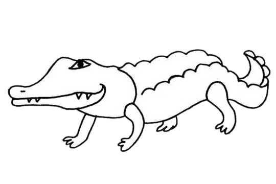 凶猛的鳄鱼简笔画