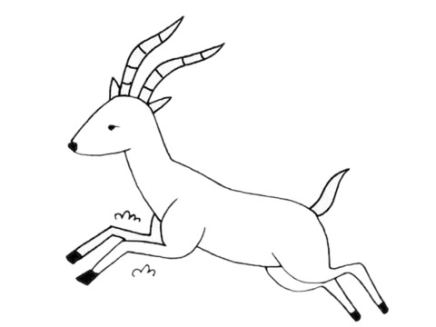 跳跃的羚羊简笔画