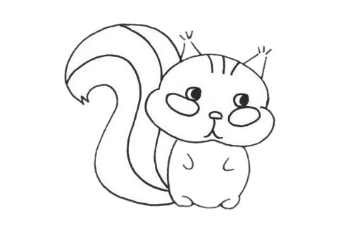关于松鼠的简笔画