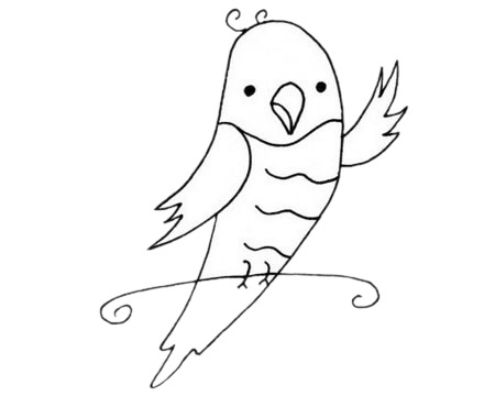 关于鹦鹉的儿童简笔画