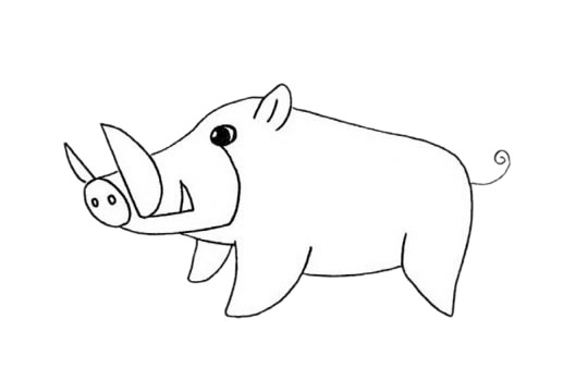 野猪儿童简笔画