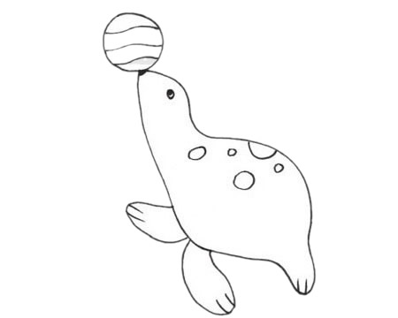 关于海狮的简笔画