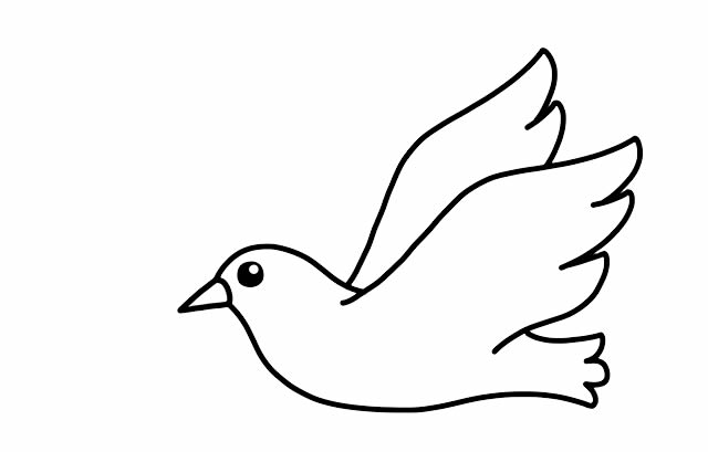 衔着树枝的鸽子简笔画步骤