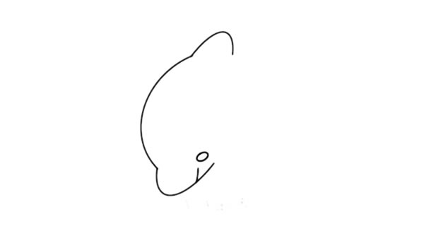 海豚和彩球简笔画 海豚和彩球简笔画