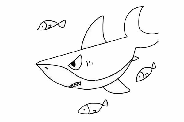 海底的大鲨鱼简笔画