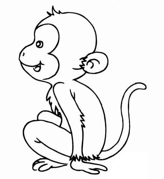小猴子儿童简笔画