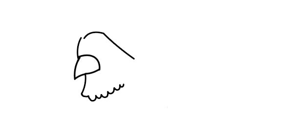 母鸡简笔画详细步骤 母鸡简笔画详细步骤