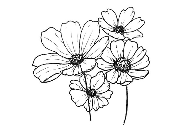 关于花朵的简笔画