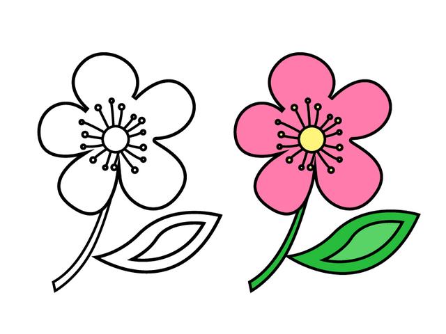 5中不同的花朵简笔画