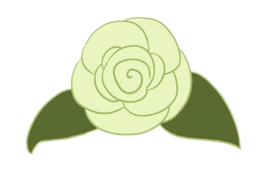 涂色的山茶花简笔画