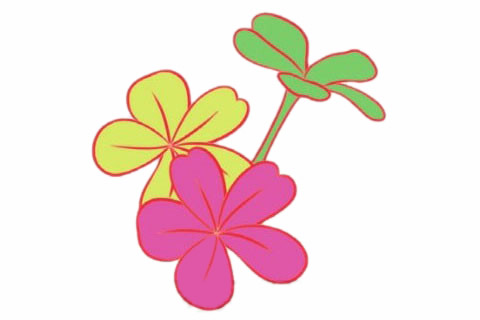 荼蘼花简笔画步骤教程