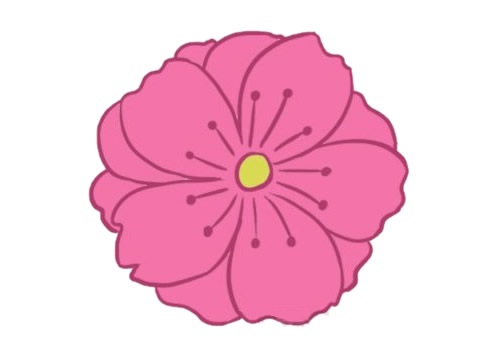 一朵漂亮的樱花简笔画