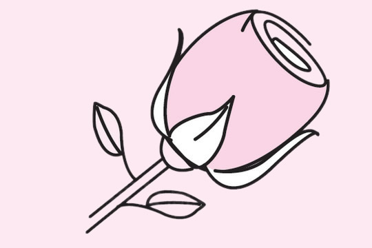 关于玫瑰花的简笔画