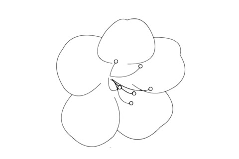 杜鹃花的花朵简笔画