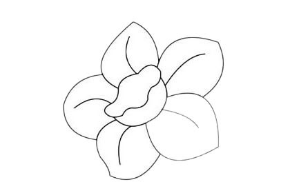水仙花的花朵简笔画