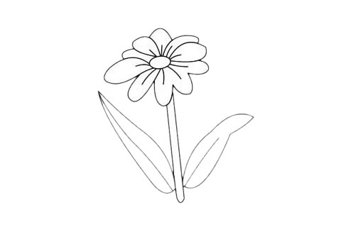 一组关于菊花的简笔画大全