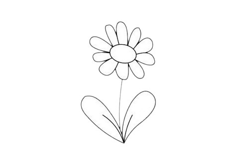 一组关于菊花的简笔画大全