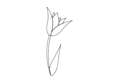 一看就会的郁金香简笔画