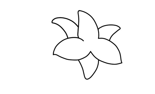 鲜艳的百合花简笔画教程 鲜艳的百合花简笔画教程