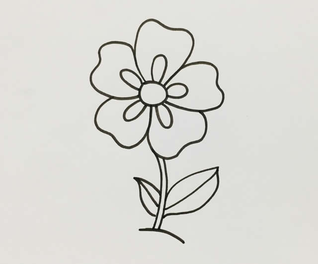 五瓣花简笔画画法步骤