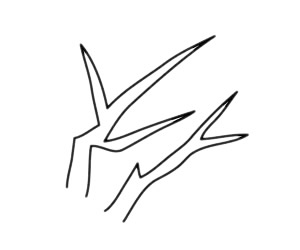一步步教你画简单的梅花