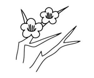 一步步教你画简单的梅花