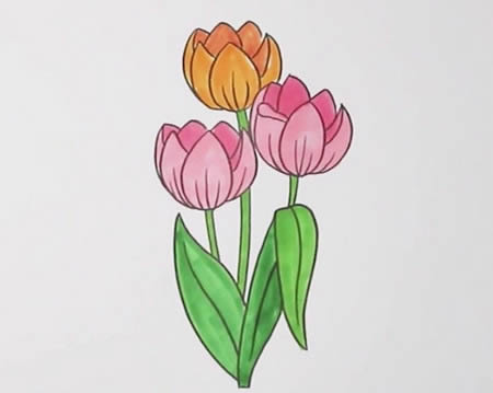 漂亮涂色的郁金香简笔画步骤