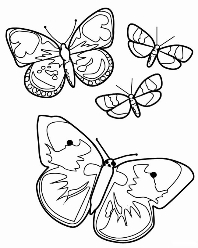 关于蝴蝶的简笔画