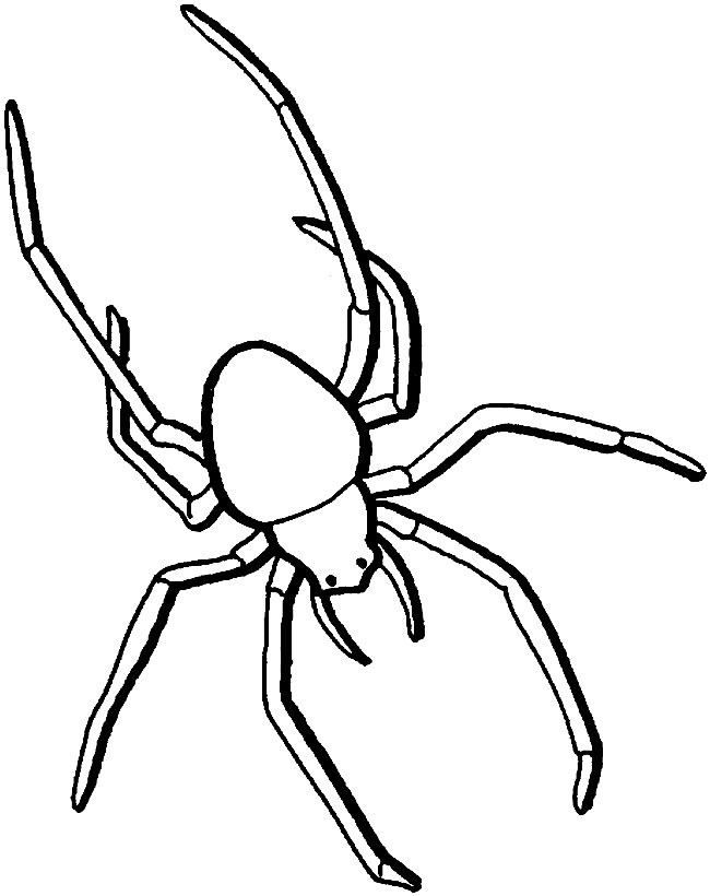 蜘蛛简笔画