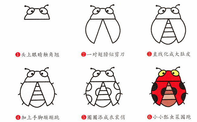 七星瓢虫简笔画步骤