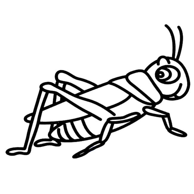 蝗虫简笔画