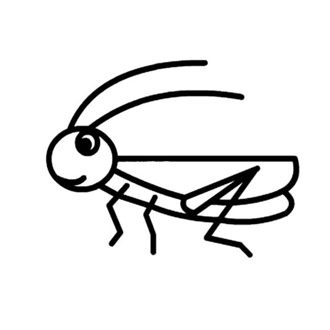 一只蚂蚱简笔画