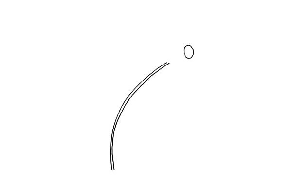 一步步教你画太阳花简笔画