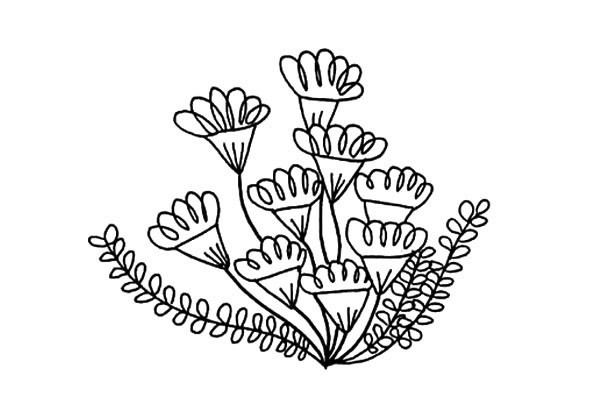 四张漂亮的小野花简笔画