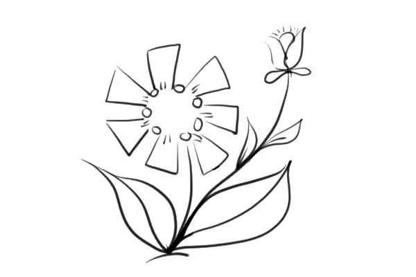 5款各不相同的小花简笔画