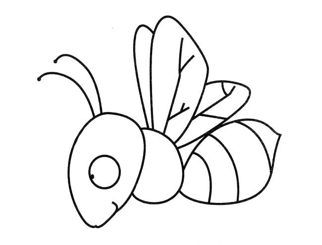 苍蝇简笔画