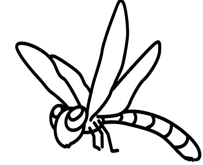 蜻蜓儿童简笔画