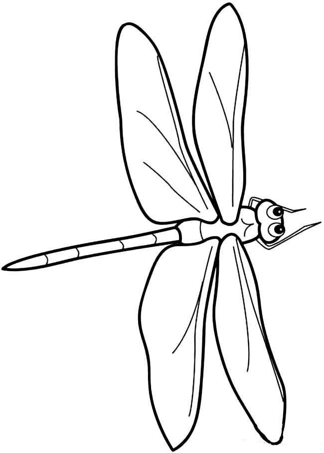 漂亮的蜻蜓简笔画