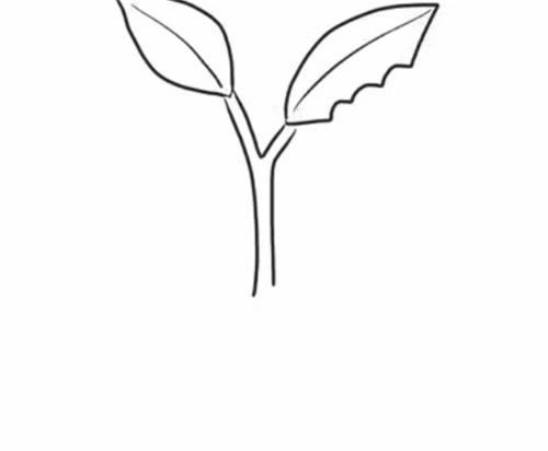吃树叶的毛毛虫简笔画