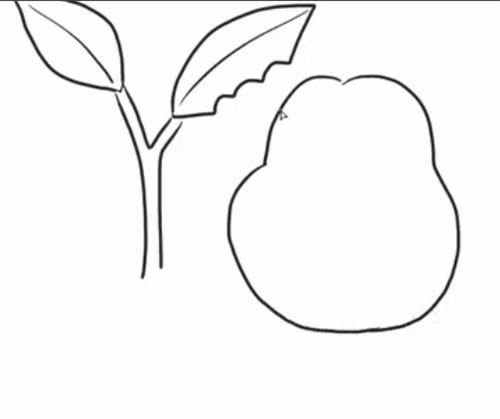 吃树叶的毛毛虫简笔画